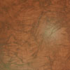Sample Board